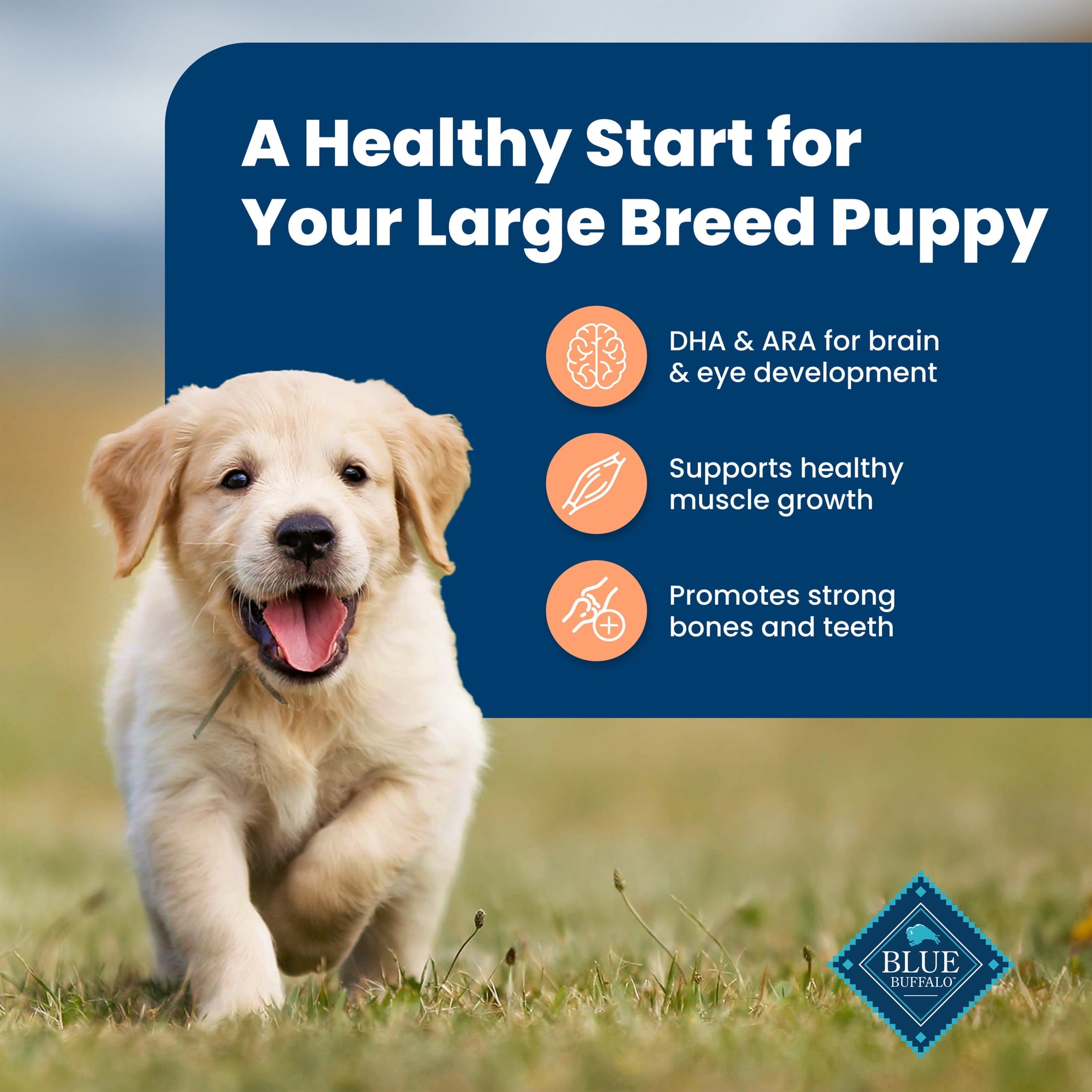 Blue Buffalo Life Protection Formula Large Breed Dry Puppy Food - Chicken & Rice, 30 lbs.