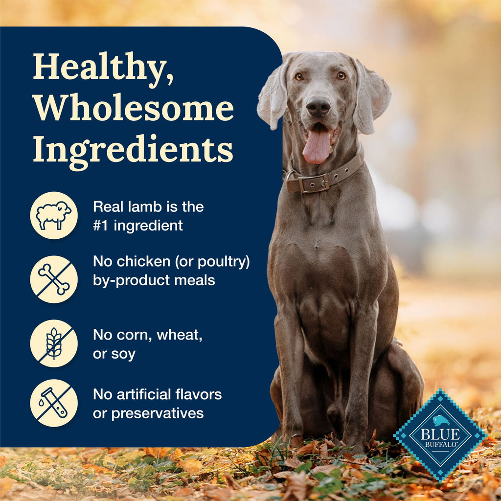 Blue Buffalo Delectables Natural Wet Dog Food Topper - Lamb Dinner 3oz