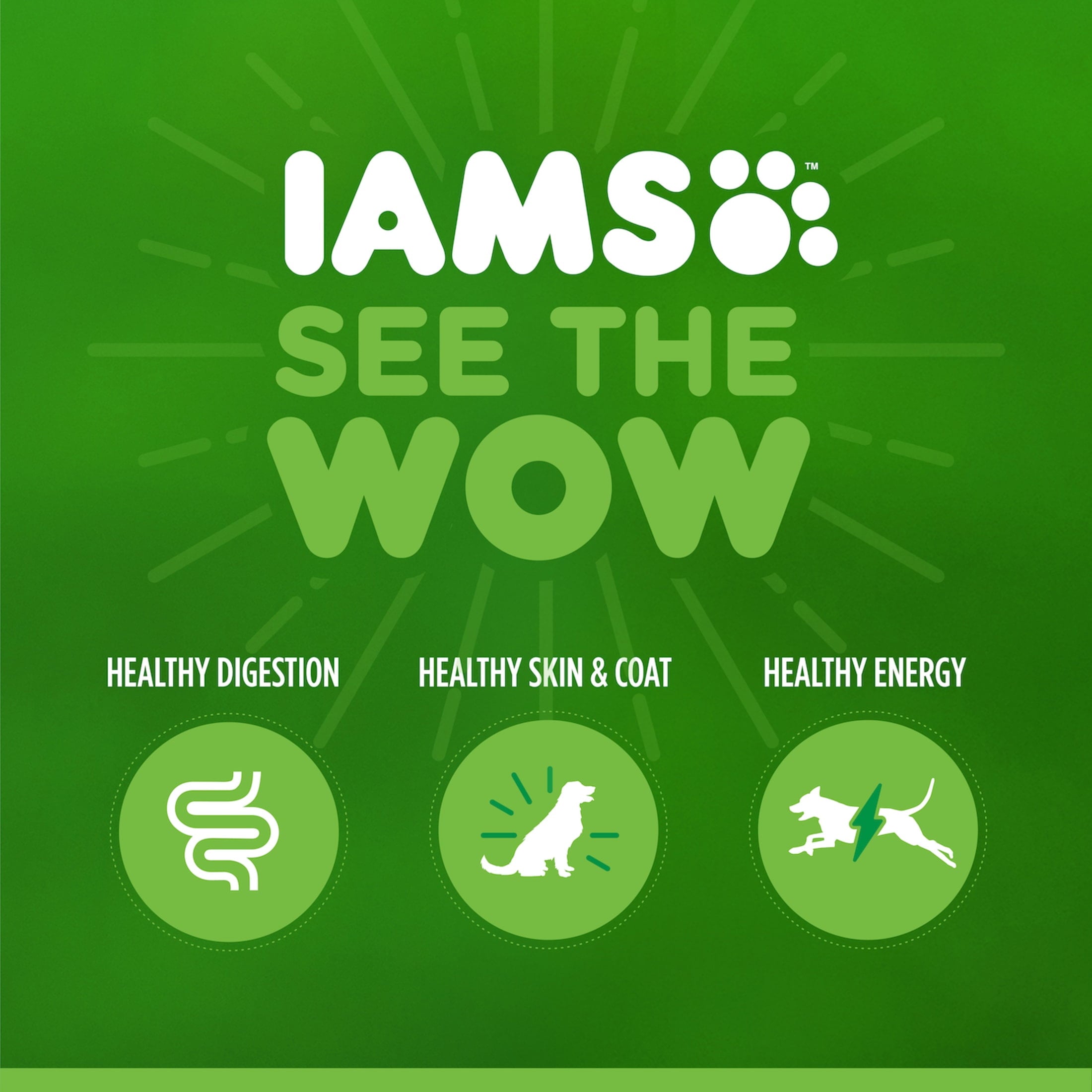 Iams Proactive Health Turkey Dry Cat Food - 6 Lb Bag
