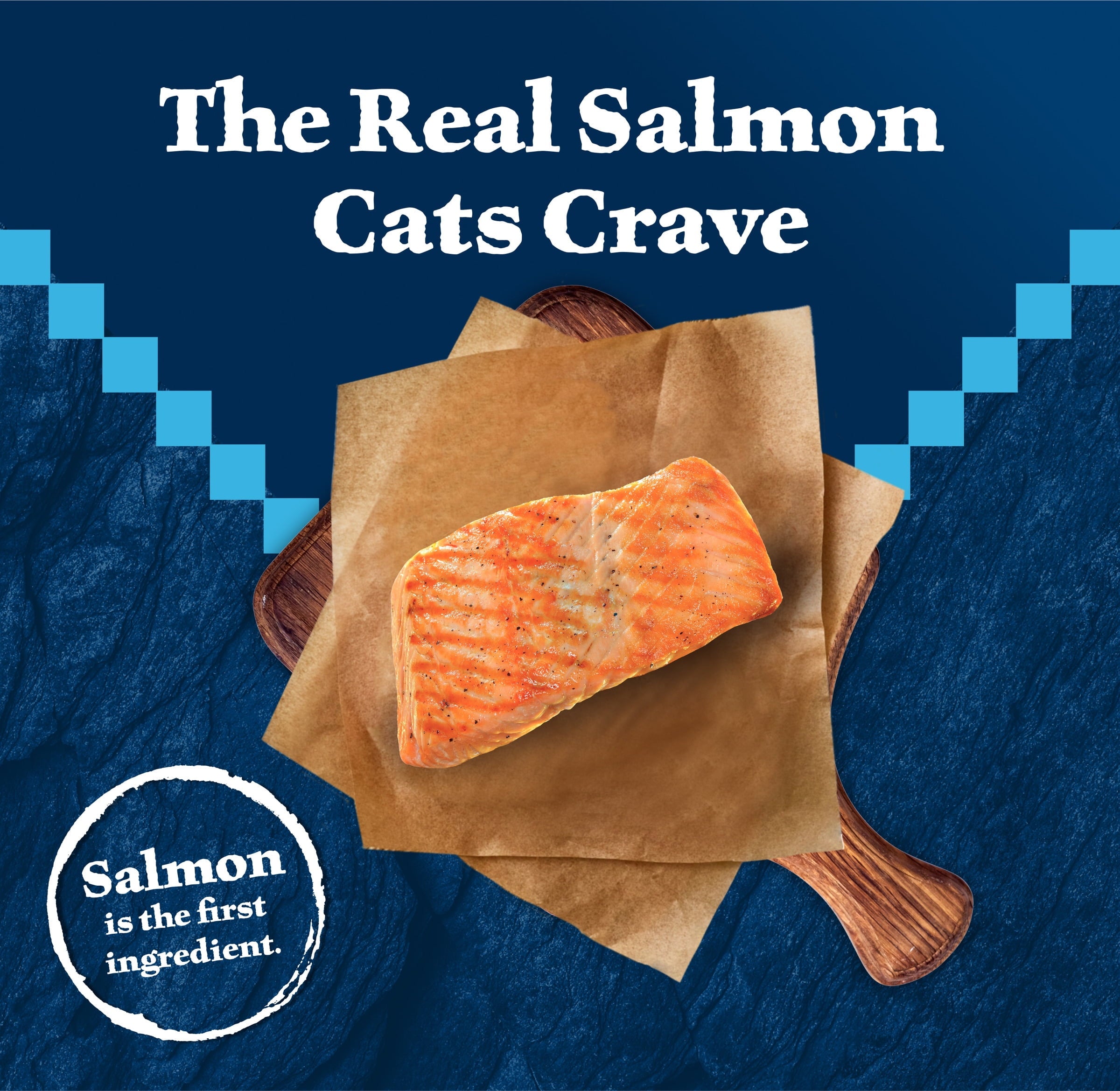 Blue Buffalo Wilderness Natural High Protein Dry Food for Adult Cats - Salmon, 4-lb Bag