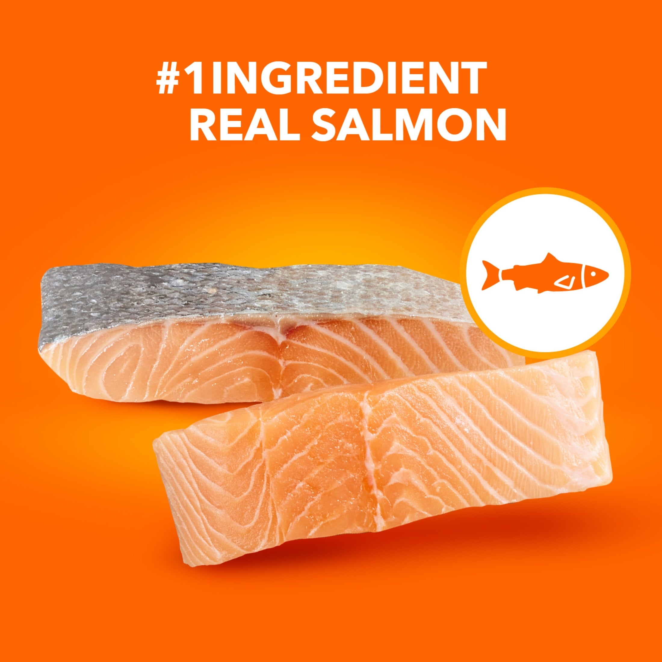 Iams Proactive Health Salmon Dry Cat Food - 16 Lb Bag