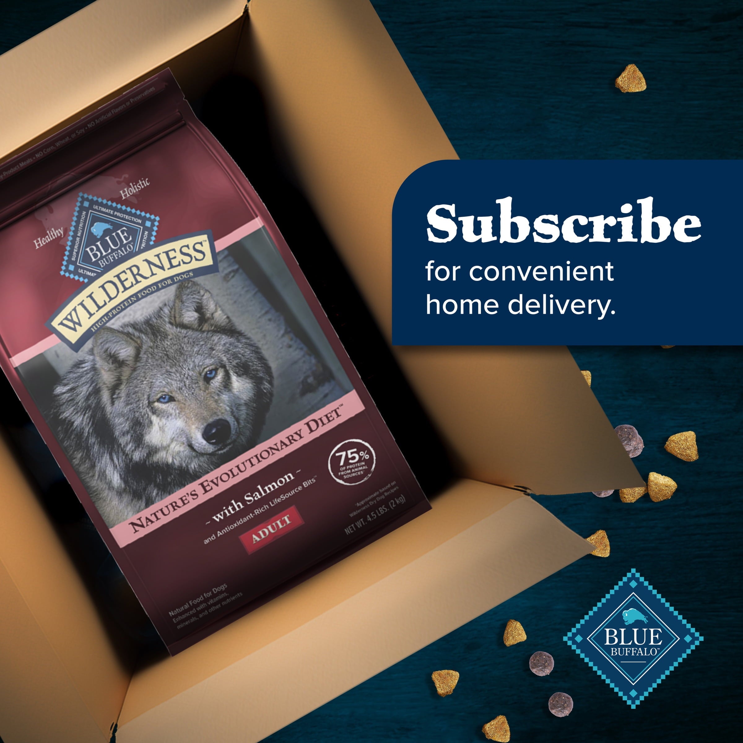 Blue Buffalo Wilderness Natural High-Protein Adult Dog Dry Food - Salmon Recipe, 13-lb.