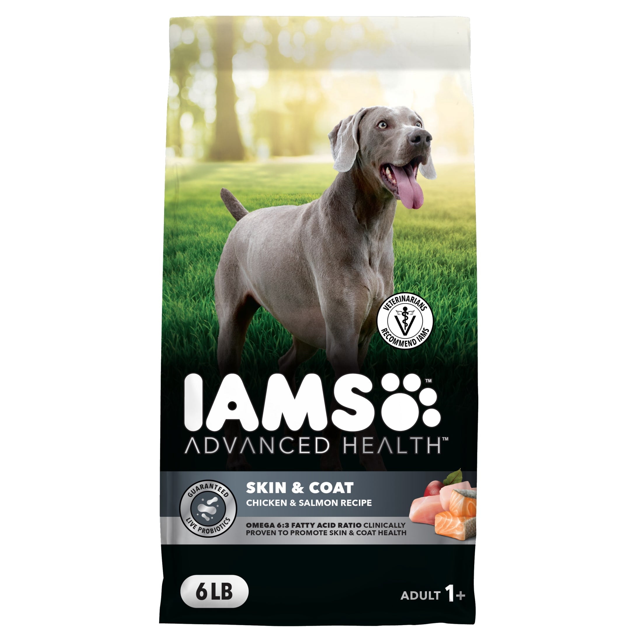 IAMS Advanced Health Skin & Coat Adult Dog Food Dry Chicken & Salmon Recipe - 6 lb