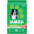 Iams Proactive Health Adult Minichunks Dry Dog Food Chicken - Kibble - 15 lbs