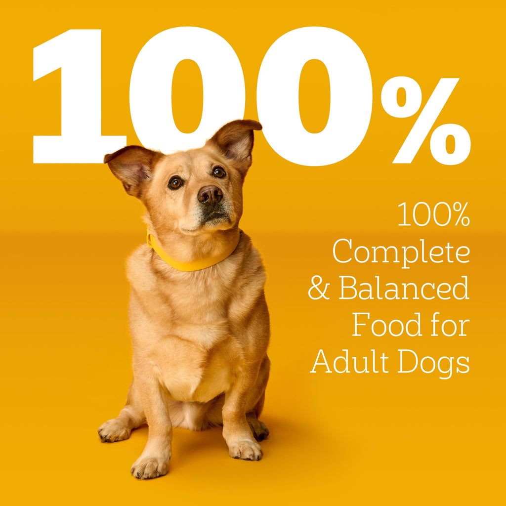Pedigree Choice Cuts In Gravy Dog Food Variety Pack - 3.5 Oz Pouches, 18 Count