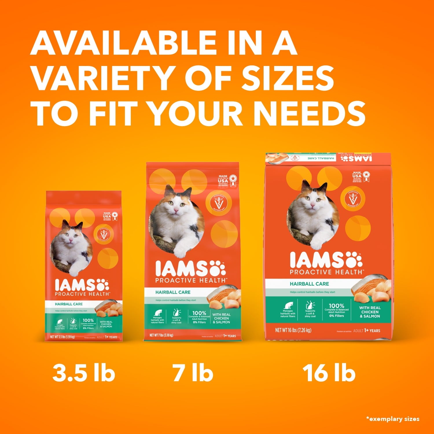 Iams Proactive Health Adult Hairball Care with Chicken & Salmon Dry Cat Food - 3.5 lb