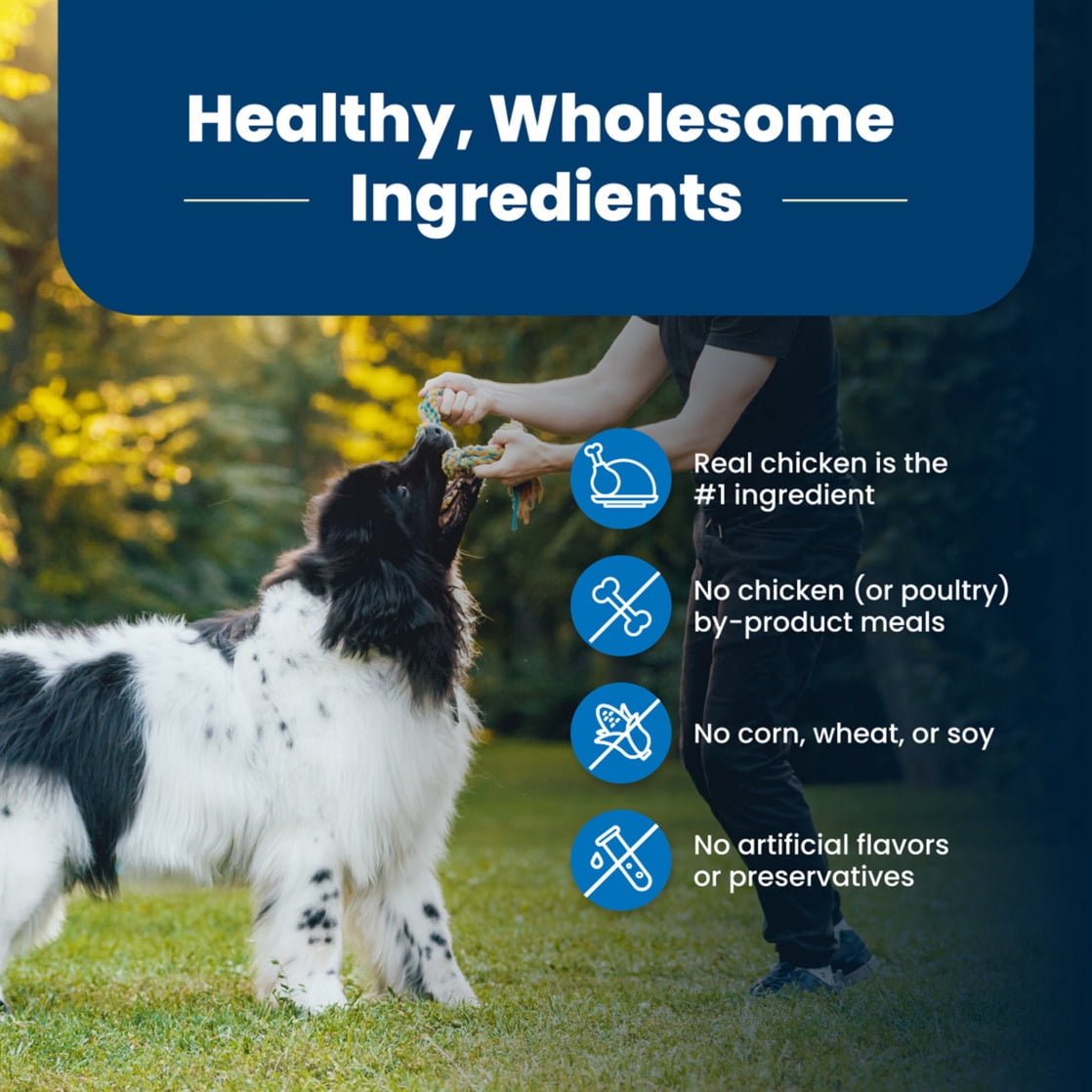 Blue Buffalo Life Protection Formula Adult Dry Dog Food - Chicken & Brown Rice, 5 lbs.