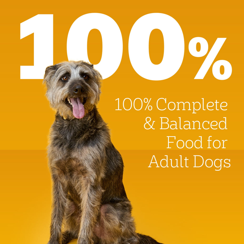 Pedigree Chopped Ground Dinner Wet Dog Food With Beef - Canned Dog Food, 13.2 oz. Cans, 12 Count - 3-Pack