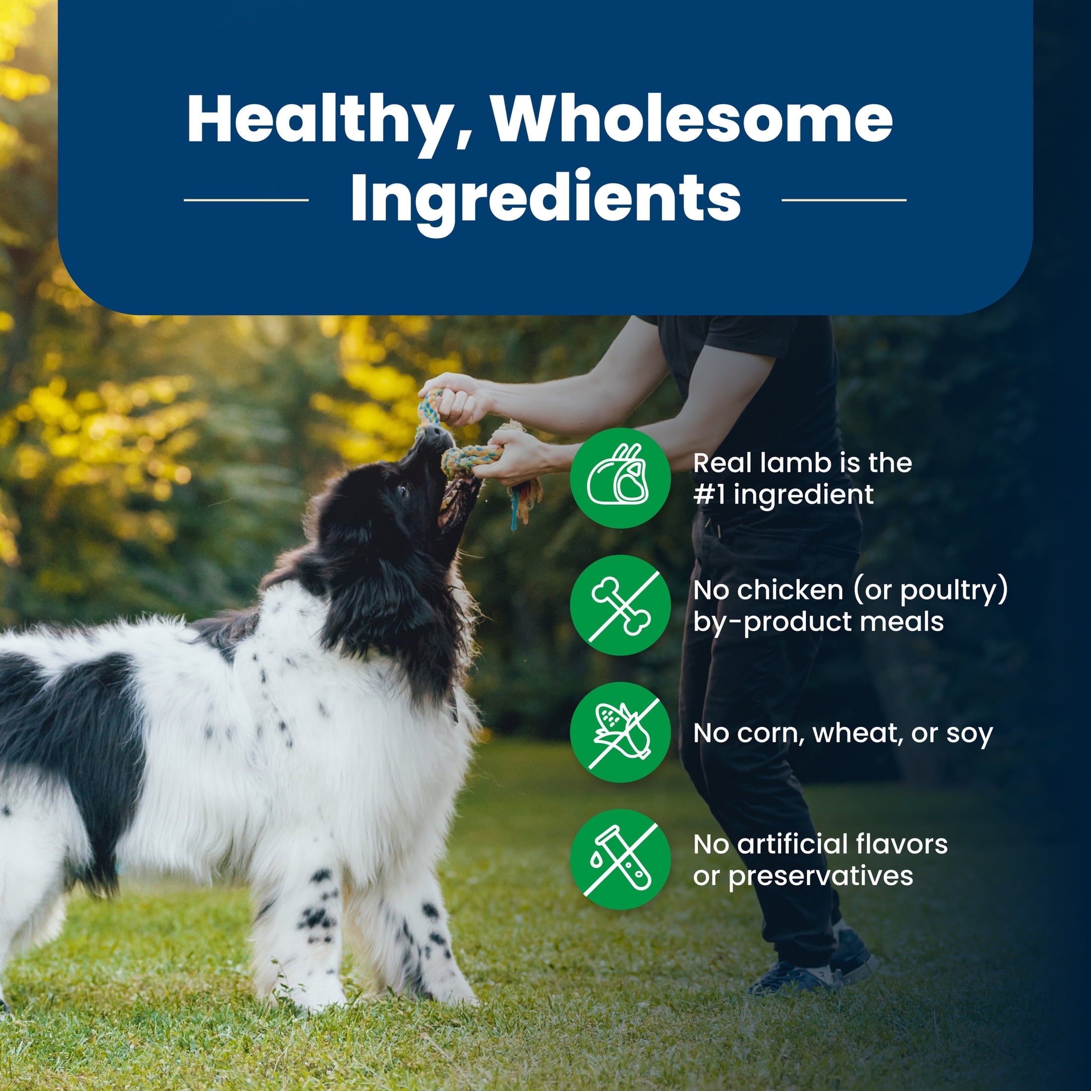 Blue Buffalo Life Protection Formula Adult Dry Dog Food - Lamb & Brown Rice, 30 lbs.