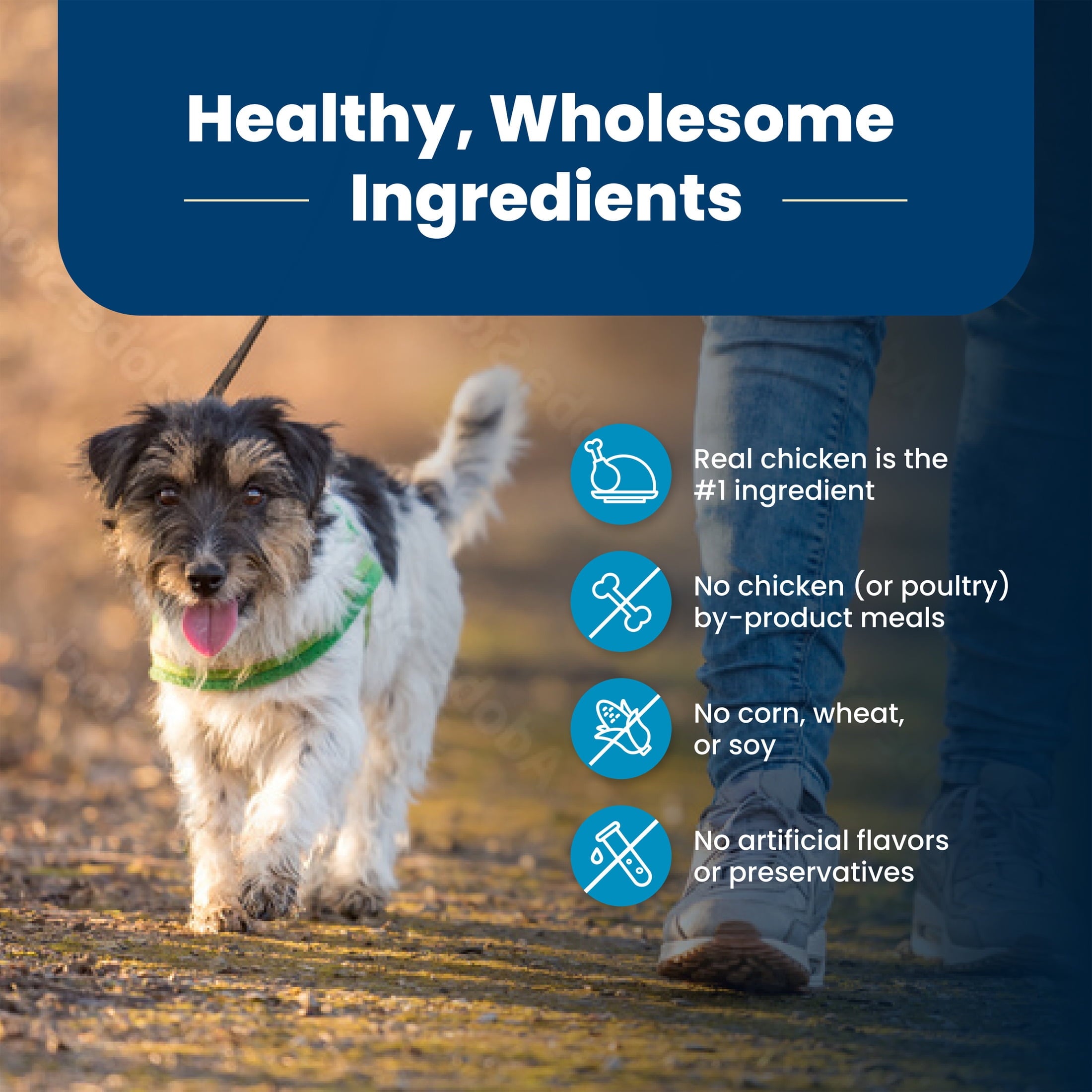 Blue Buffalo Life Protection Formula Adult Small Bite Dry Dog Food - Chicken & Brown Rice, 15 lbs