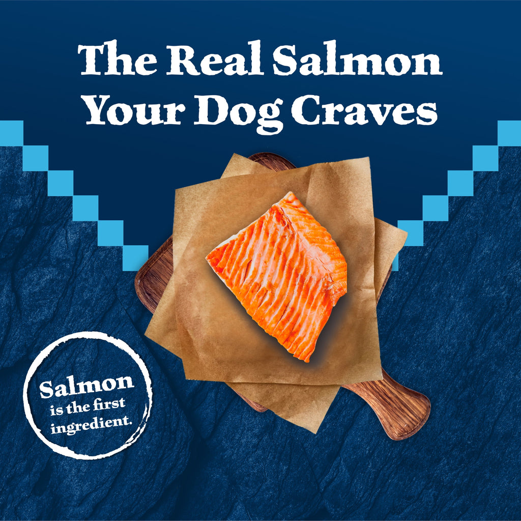 Blue Buffalo Wilderness Natural High-Protein Adult Dog Dry Food - Salmon Recipe, 13-lb.