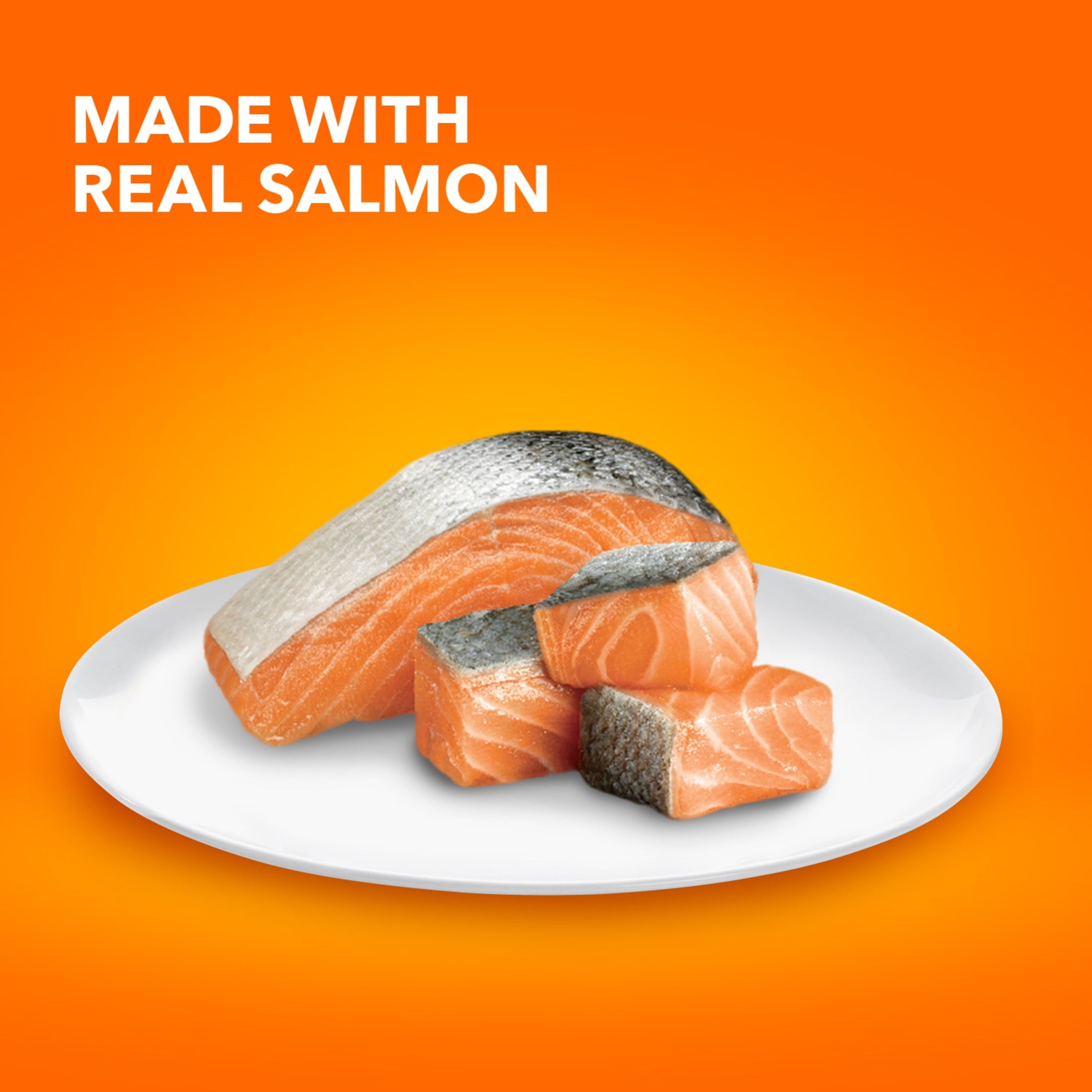 Iams Proactive Health Salmon Dry Cat Food - 7 Lb Bag