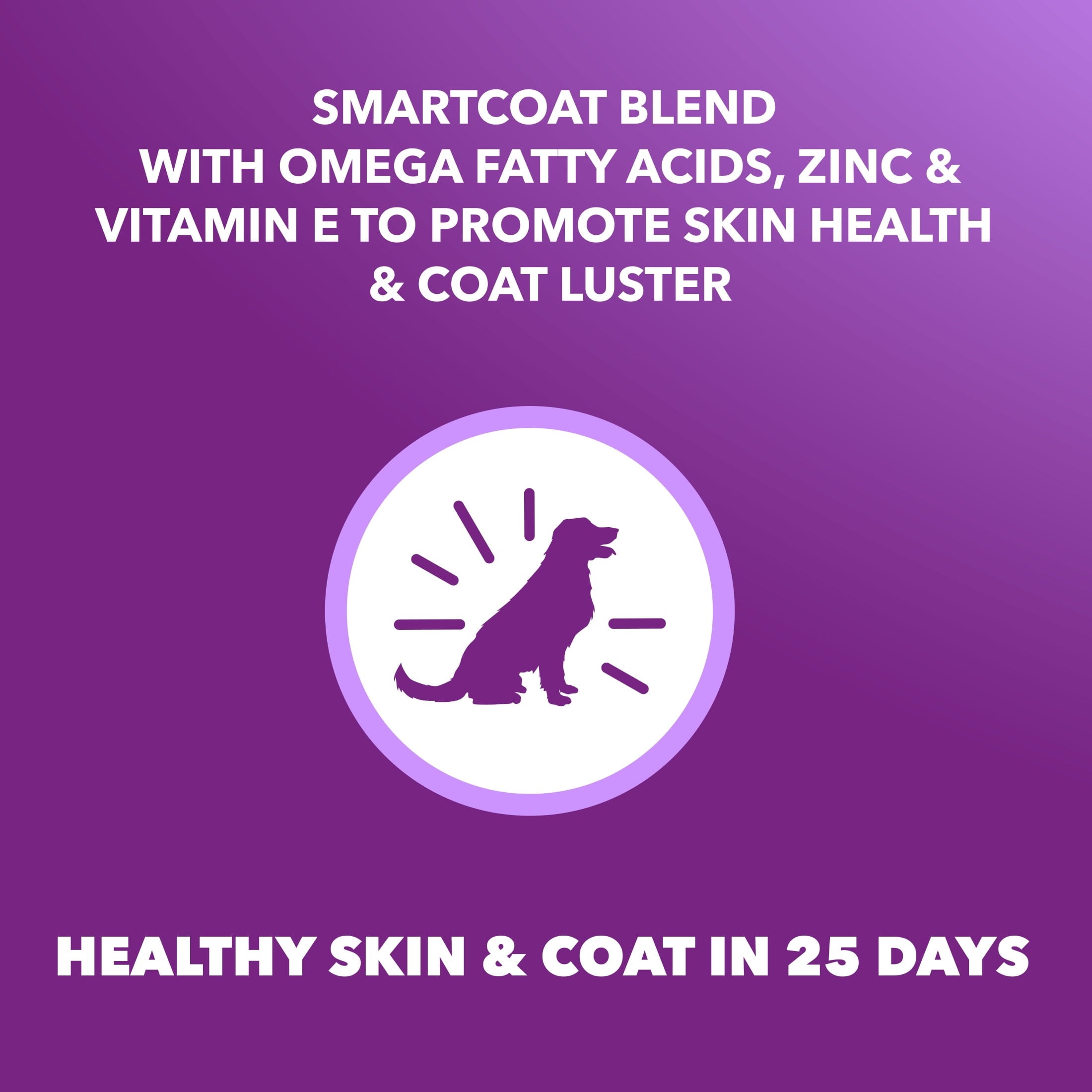 IAMS Advanced Health Skin & Coat Adult Dog Food Dry Chicken & Salmon Recipe - 13.5 lb