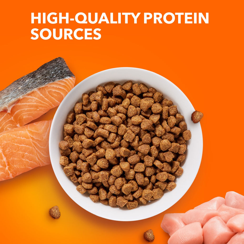 Iams Proactive Health Salmon Dry Cat Food - 3.5 lb Bag