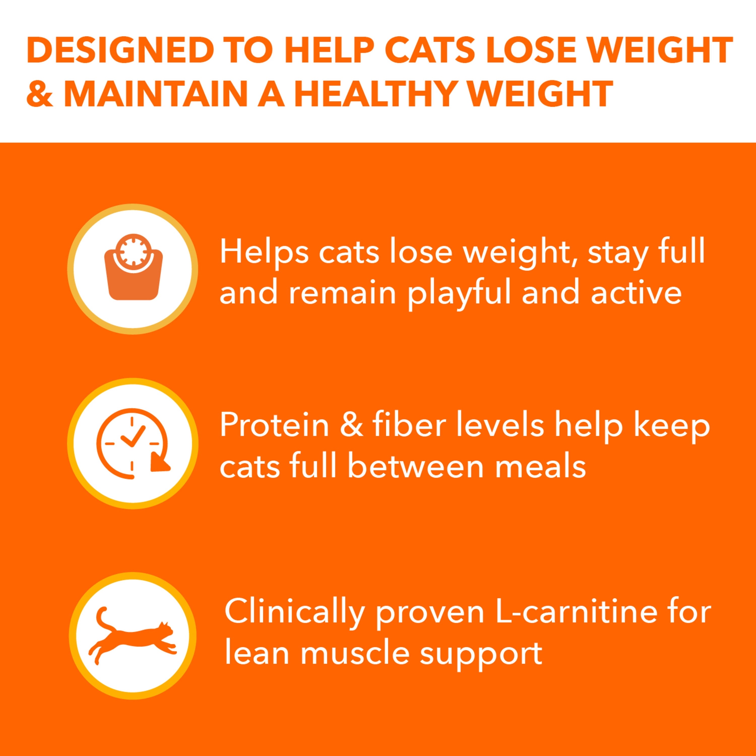 IAMS Proactive Health Adult 1+ Years Healthy Weight Premium Cat Nutrition 22LB