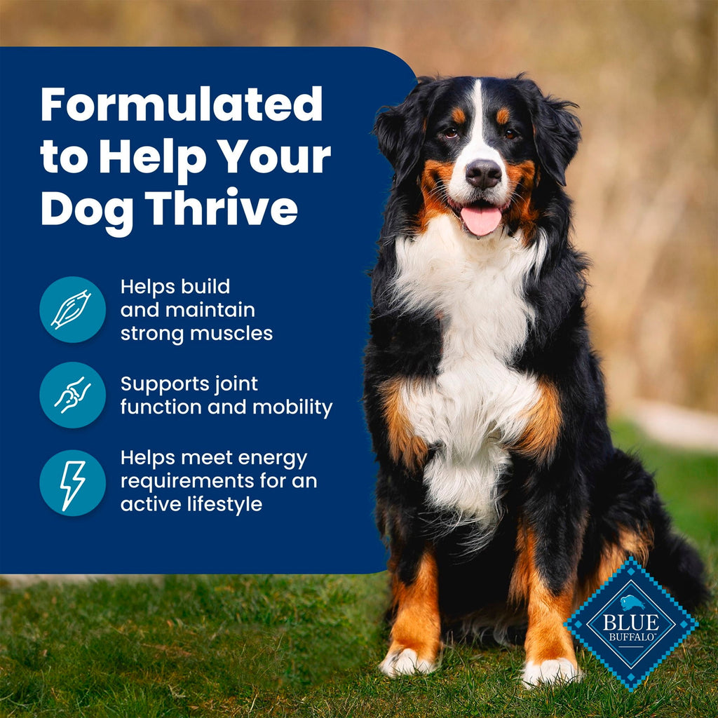 Blue Buffalo Life Protection Formula Adult Dry Dog Food - Fish & Brown Rice, 30lb Bag