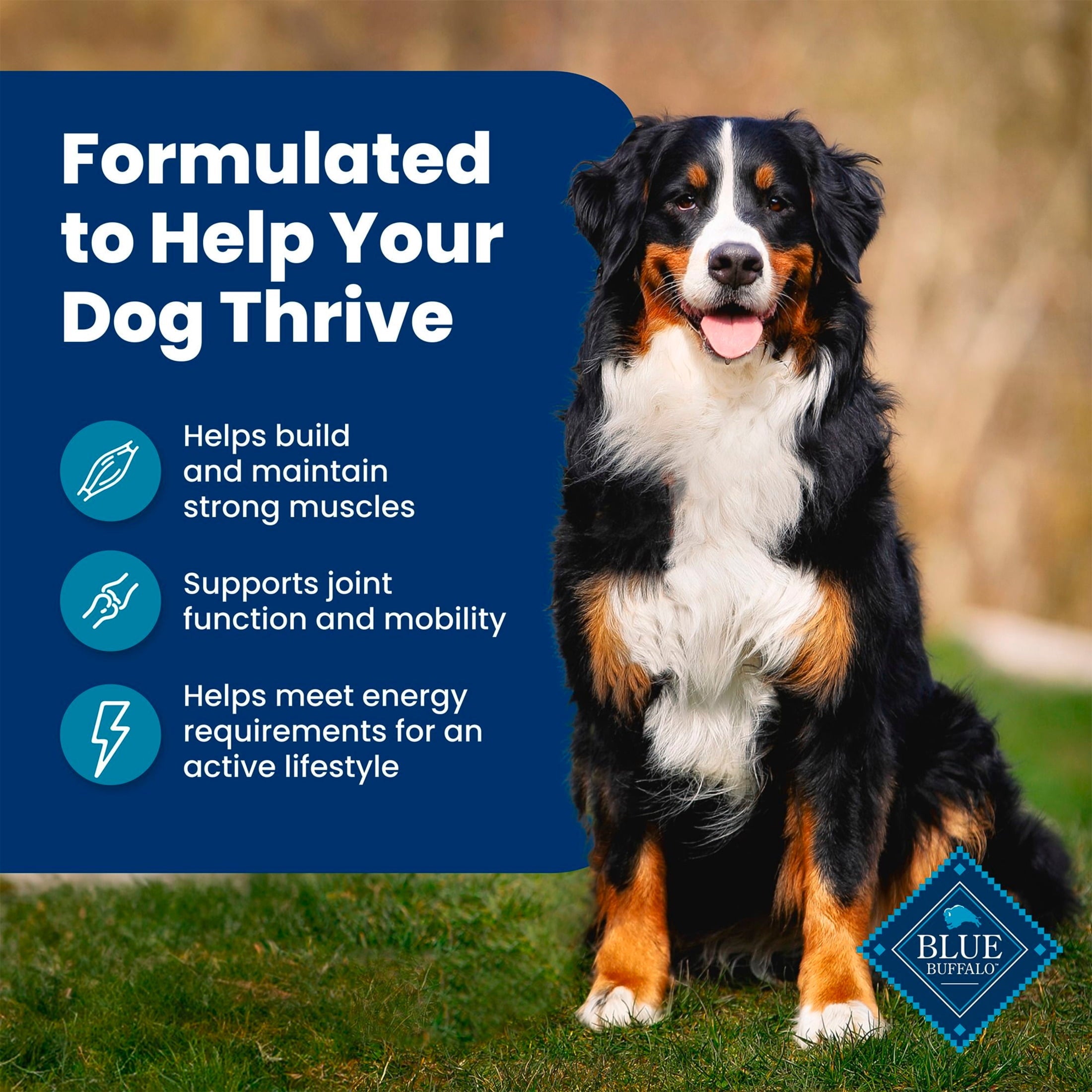 Blue Buffalo Life Protection Formula Adult Dry Dog Food - Fish & Brown Rice, 30lb Bag