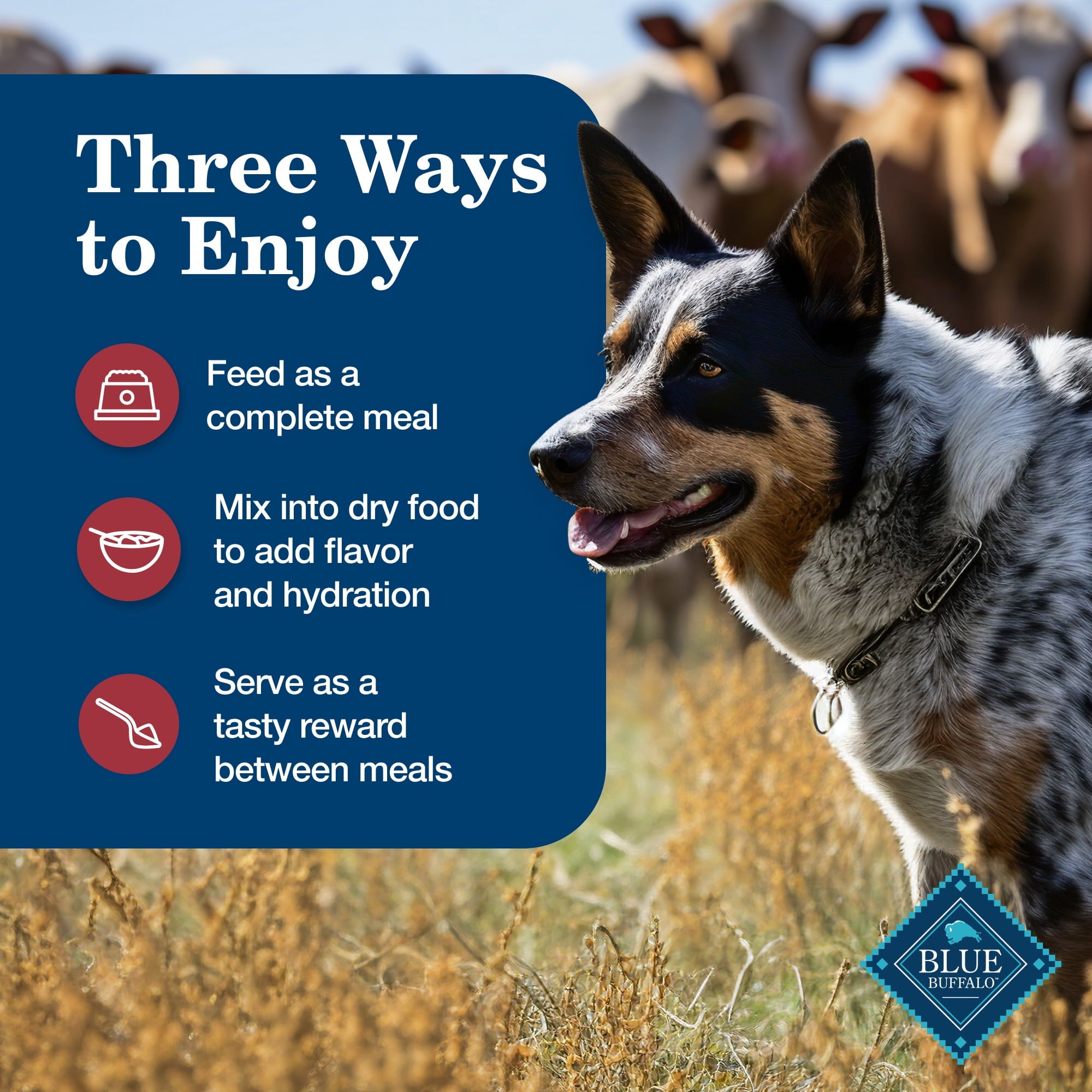Blue Buffalo Homestyle Recipe Adult Wet Dog Food - Beef Dinner, 12.5-oz. Can - 6-Pack