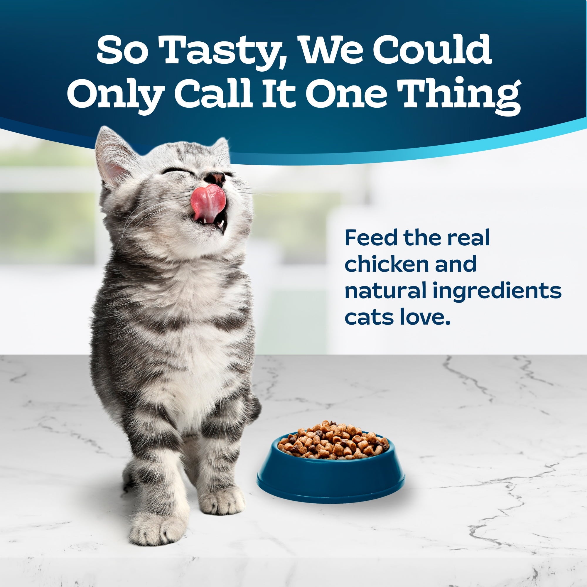 Blue Buffalo Tastefuls Kitten Natural Dry Cat Food - Chicken Recipe, 3-lb. Bag