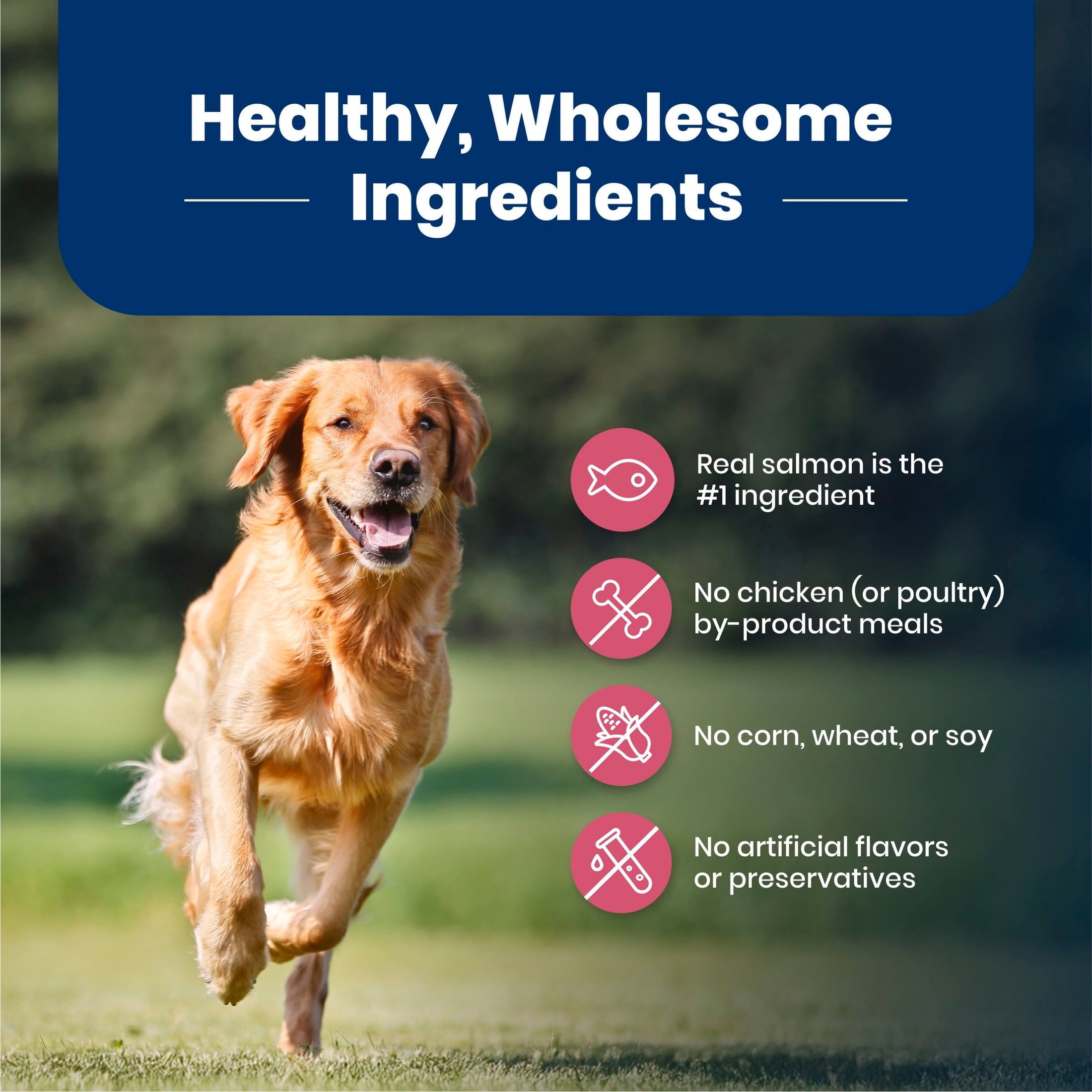 Blue Buffalo Life Protection Formula Adult Dry Dog Food - Salmon, Chicken Free, 15lbs