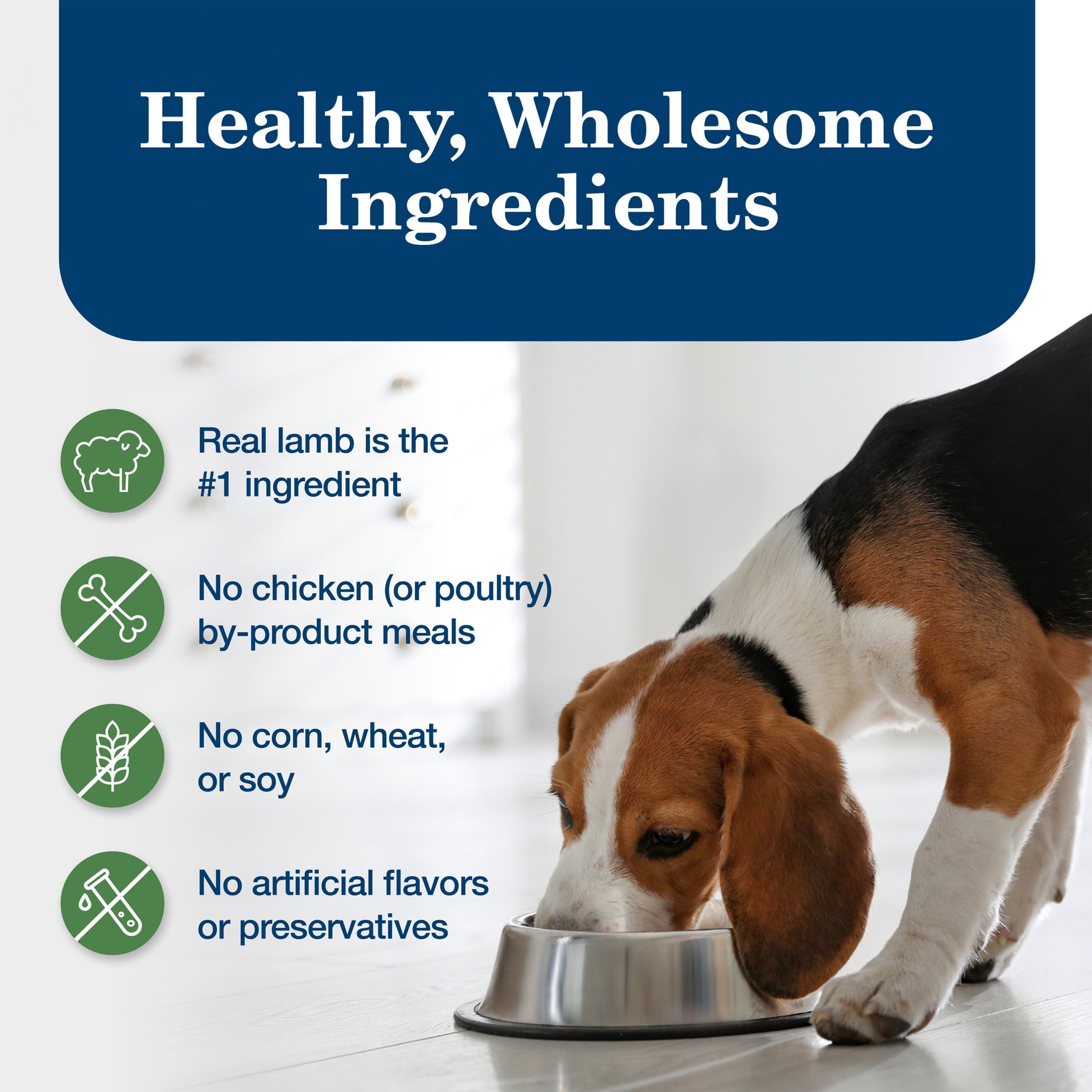 Blue Buffalo Homestyle Recipe Adult Wet Dog Food - Lamb Dinner, 12.5-oz. Can - 12-Pack