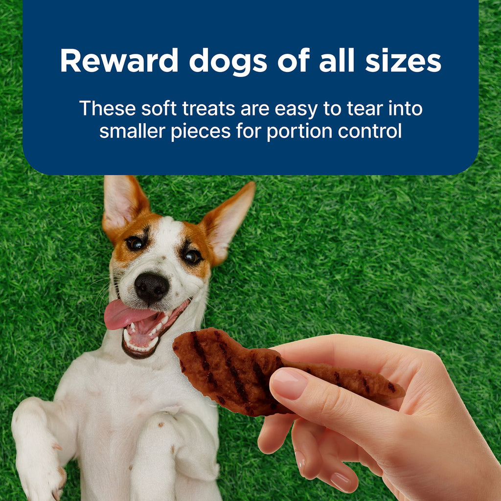 Blue Buffalo Nudges Grillers Natural Dog Treats Made with Real Steak - 5-oz. Bag