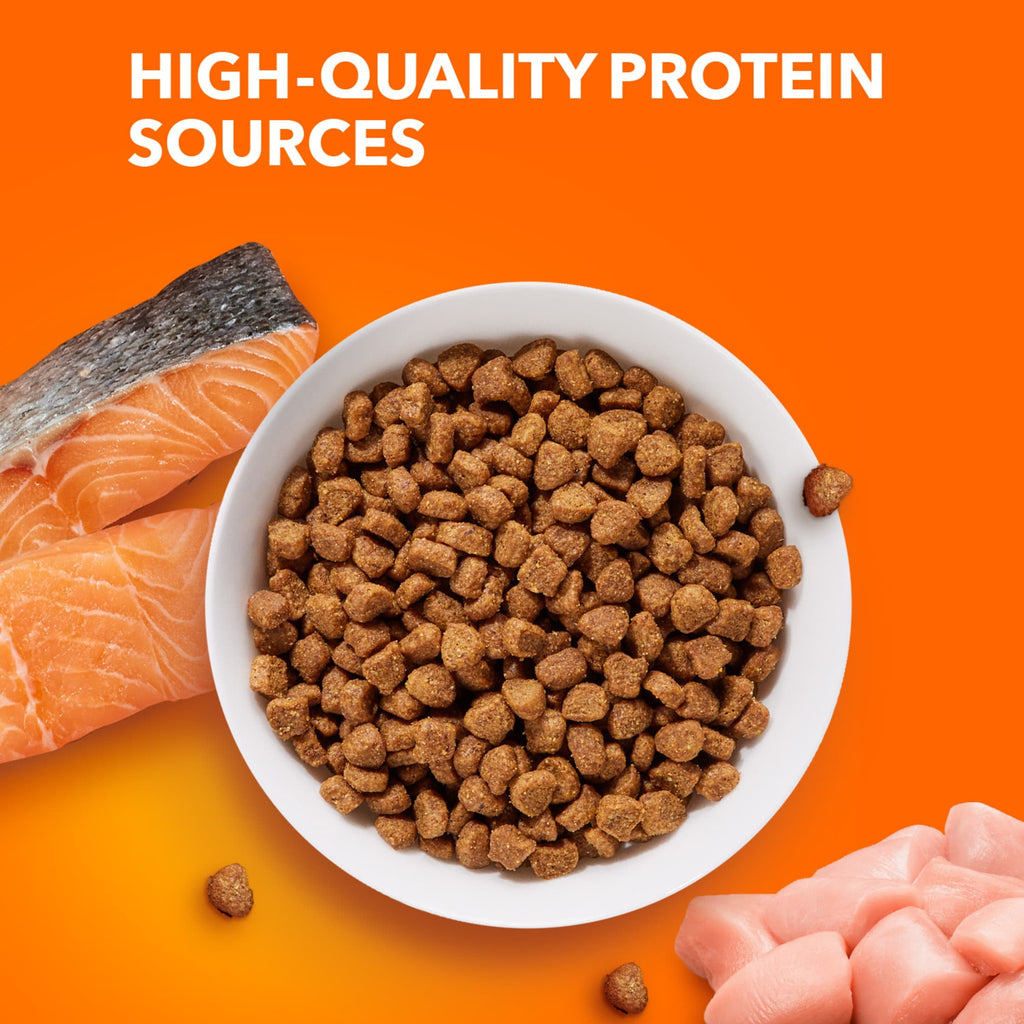 Iams Proactive Health Salmon Dry Cat Food - 16 Lb Bag