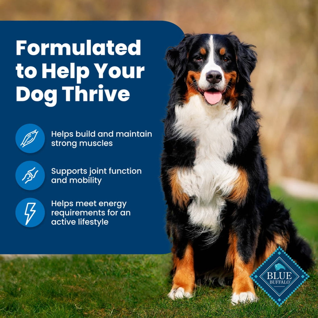 Blue Buffalo Life Protection Formula Adult Dry Dog Food - Chicken & Brown Rice, 5 lbs.