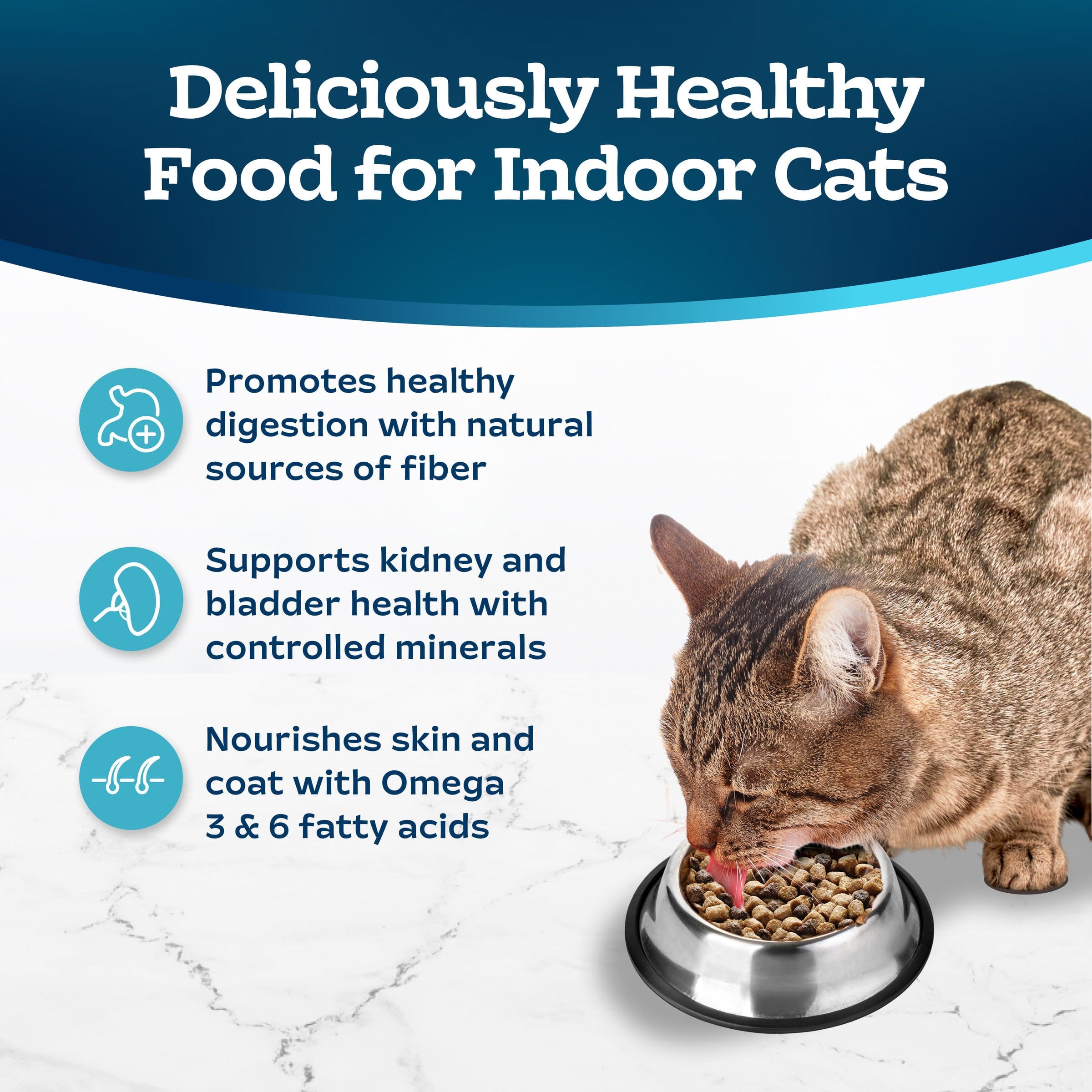 Blue Buffalo Tastefuls Dry Food - Adult Indoor Cat, Salmon and Brown Rice, 5-lb. Bag