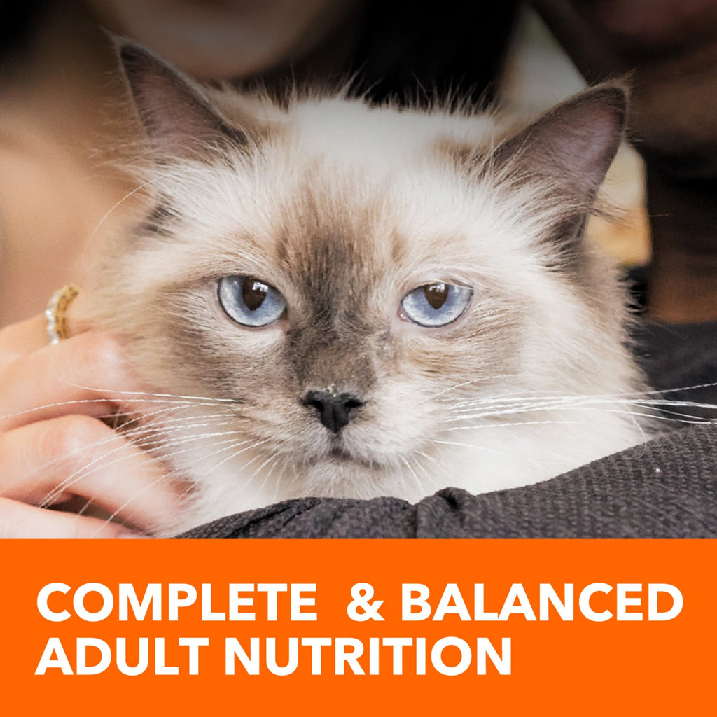 Iams Proactive Health Chicken And Salmon Dry Cat Food - 7 Lb Bag