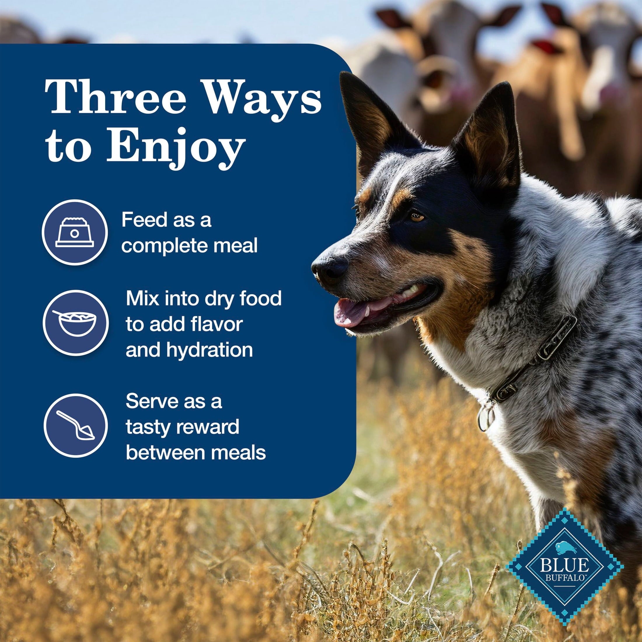 Blue Buffalo Homestyle Recipe Natural Adult Wet Dog Food - Chicken, 12.5oz. Can - 12-Pack