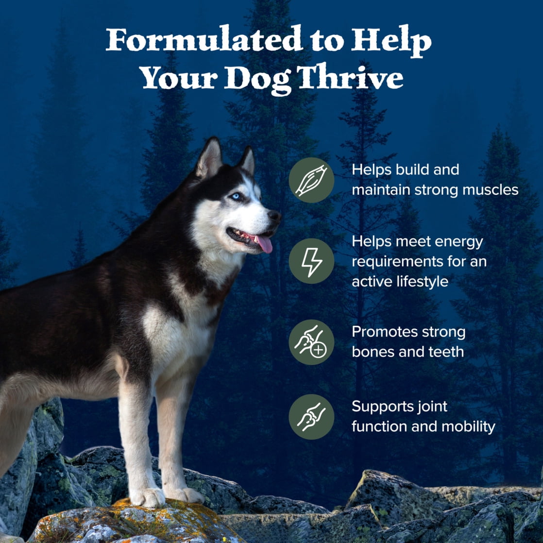 Blue Buffalo Wilderness Natural High-Protein Dry Food for Adult Dogs - Duck, 13-lb bag.