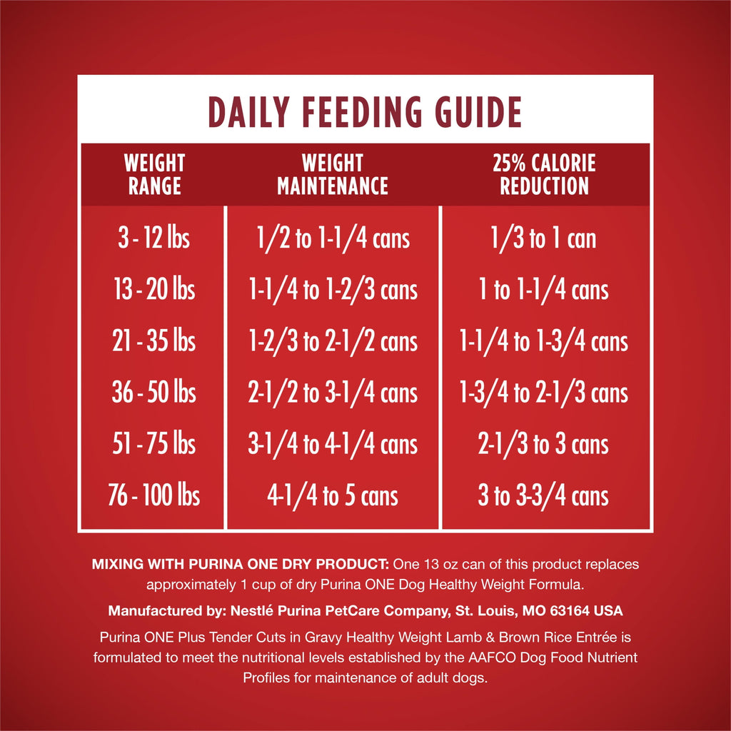 Purina ONE PLUS Natural Wet Dog Food - High Protein Soft Lamb & Brown Rice, 13 oz Can - 6-Pack