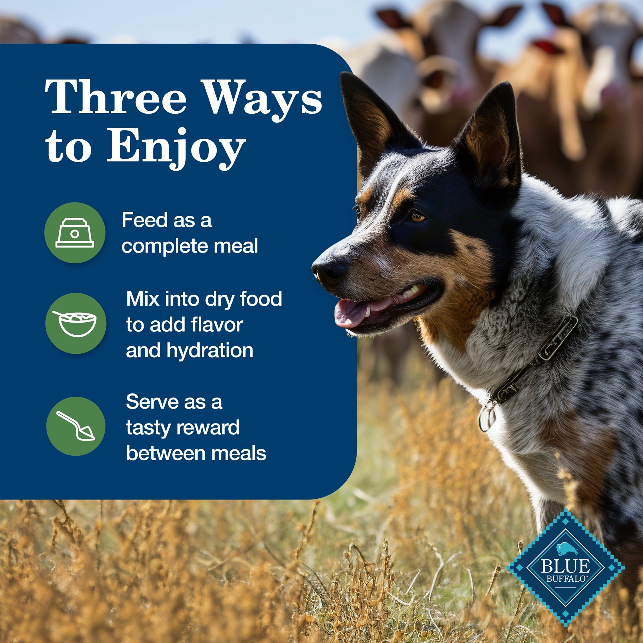 Blue Buffalo Homestyle Recipe Adult Wet Dog Food - Lamb Dinner, 12.5-oz. Can - 12-Pack