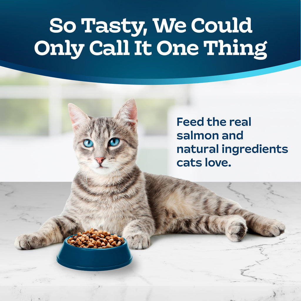 Blue Buffalo Tastefuls Dry Food - Adult Indoor Cat, Salmon and Brown Rice, 5-lb. Bag