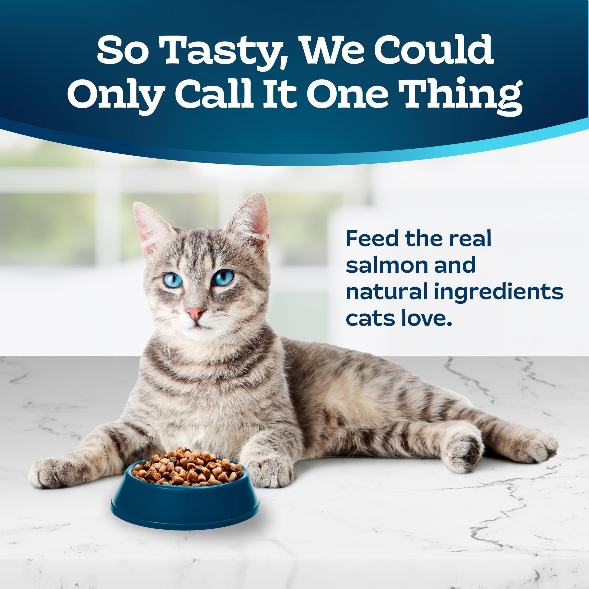 Blue Buffalo Tastefuls Dry Food - Adult Indoor Cat, Salmon and Brown Rice, 5-lb. Bag