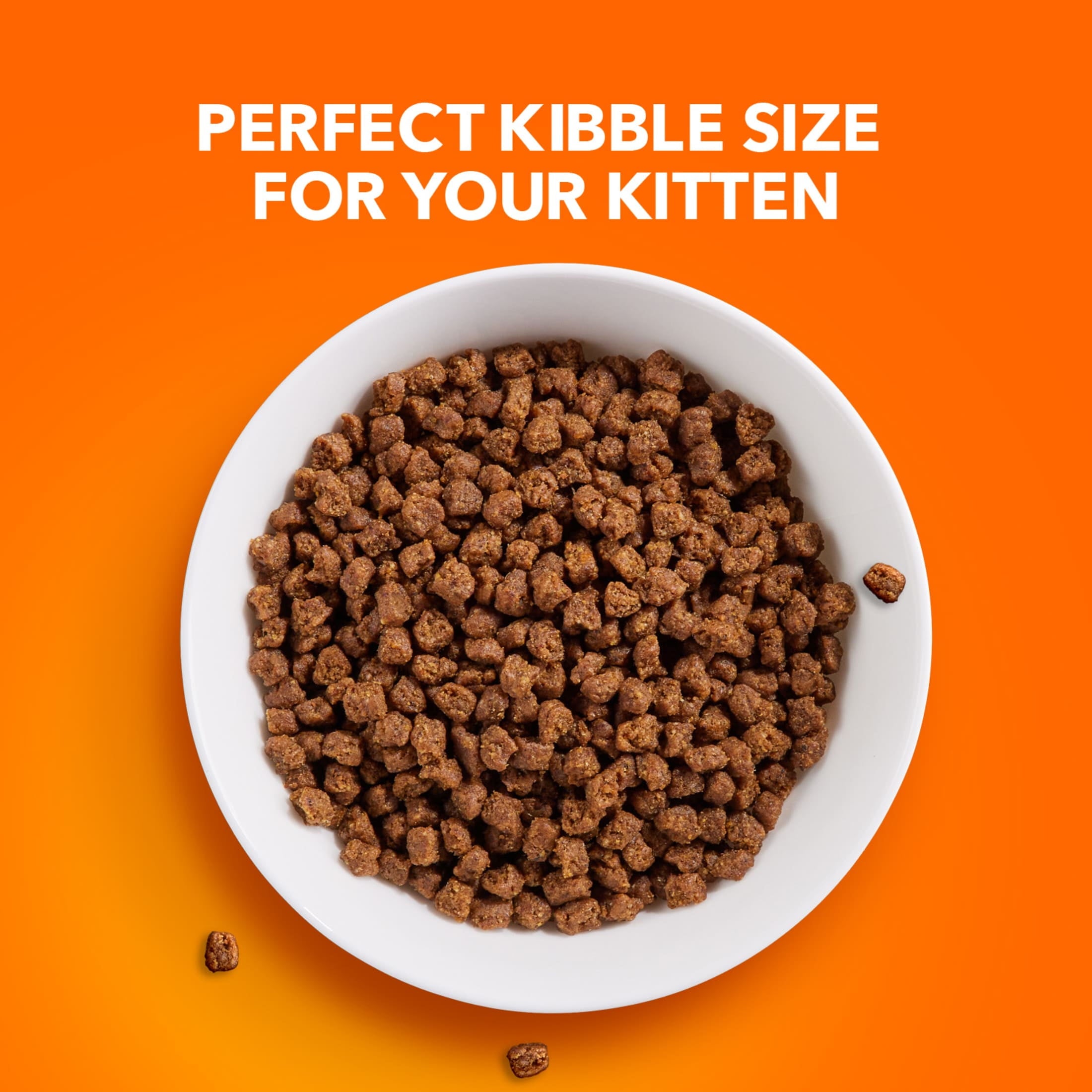 Iams Proactive Health Chicken Dry Cat Food For Kittens - 7 Lb Bag