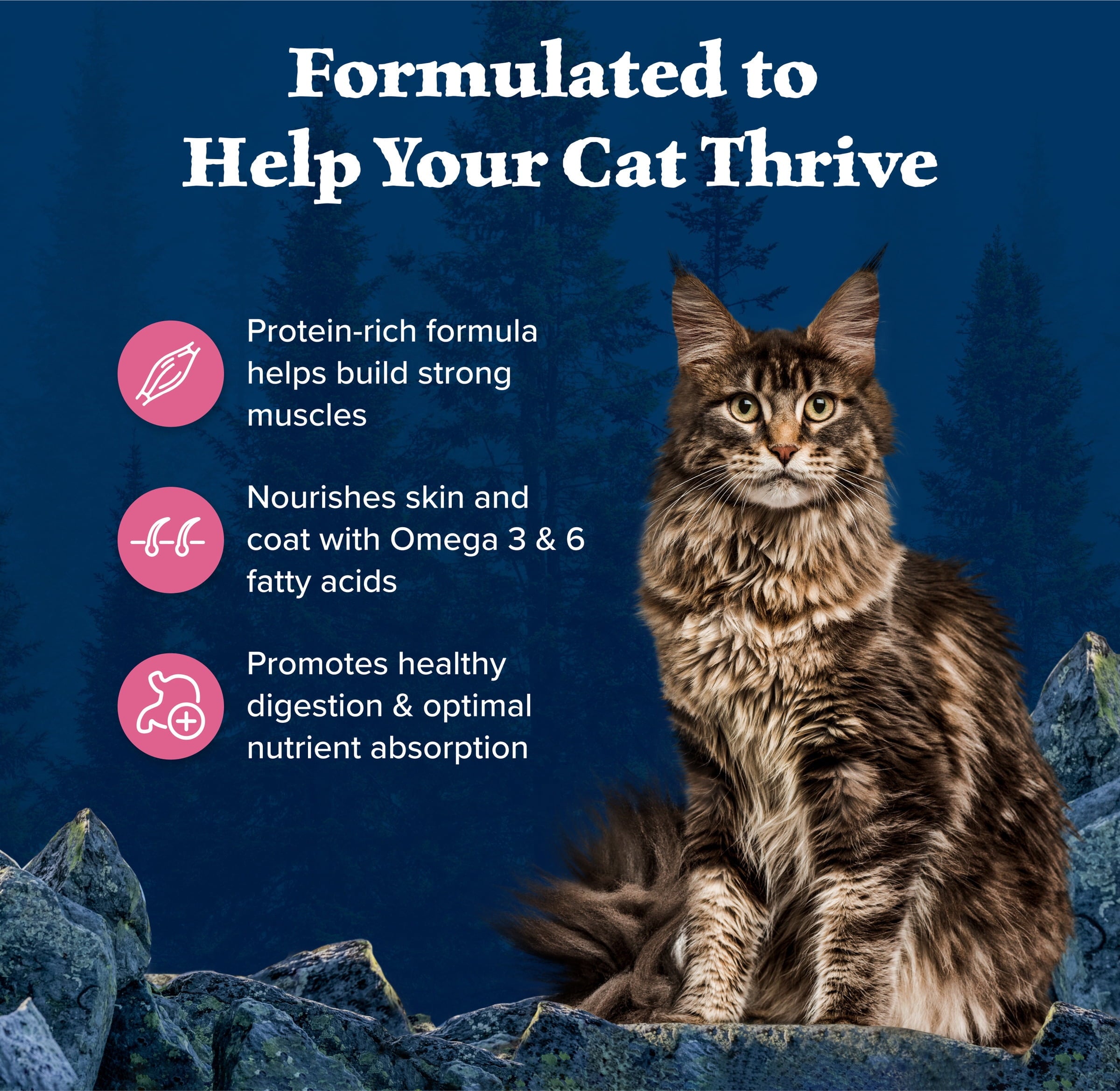 Blue Buffalo Wilderness Natural High Protein Dry Food for Adult Cats - Salmon, 4-lb Bag