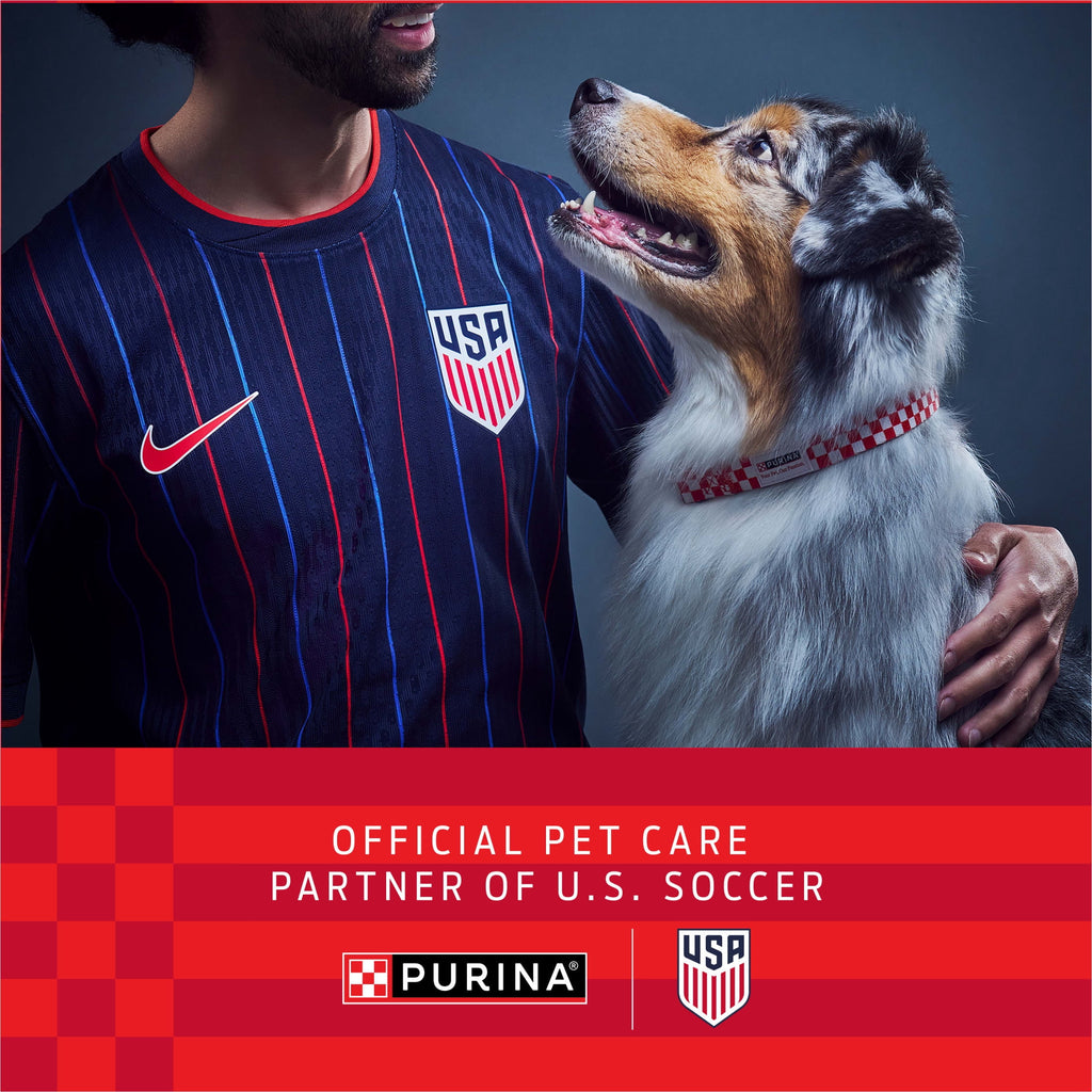 Purina Pro Plan Complete Essentials Shredded Blend Salmon and Rice Dry Dog Food Formula with Probiotics for Dogs - 33 lb Bag