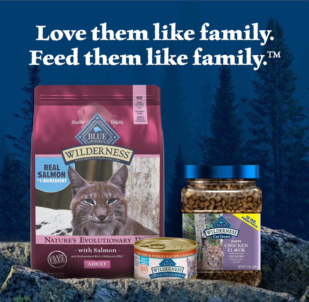 Blue Buffalo Wilderness Natural High Protein Dry Food for Adult Cats - Salmon, 4-lb Bag