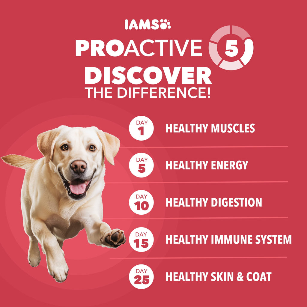IAMS Large Breed Dry Dog Food - Adult Dog Food Dry Recipe, Lamb & Rice Recipe, 15 lb. Bag