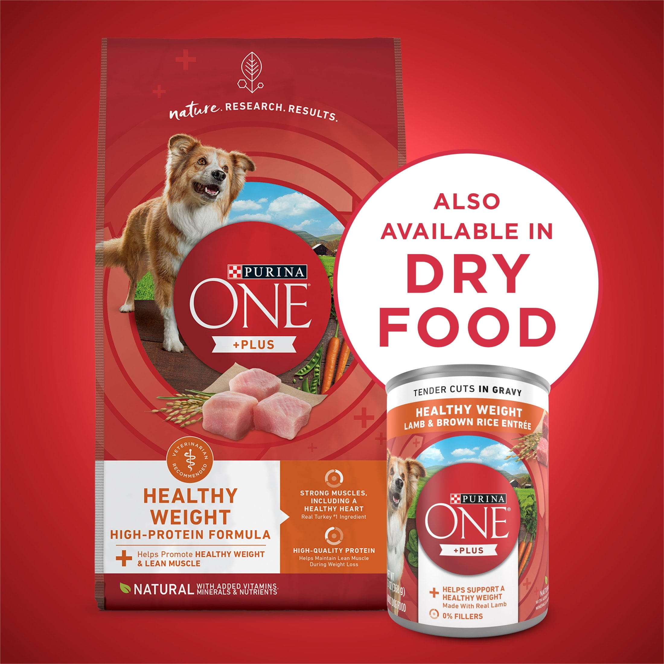 Purina ONE PLUS Natural Wet Dog Food - High Protein Soft Lamb & Brown Rice, 13 oz Can - 6-Pack
