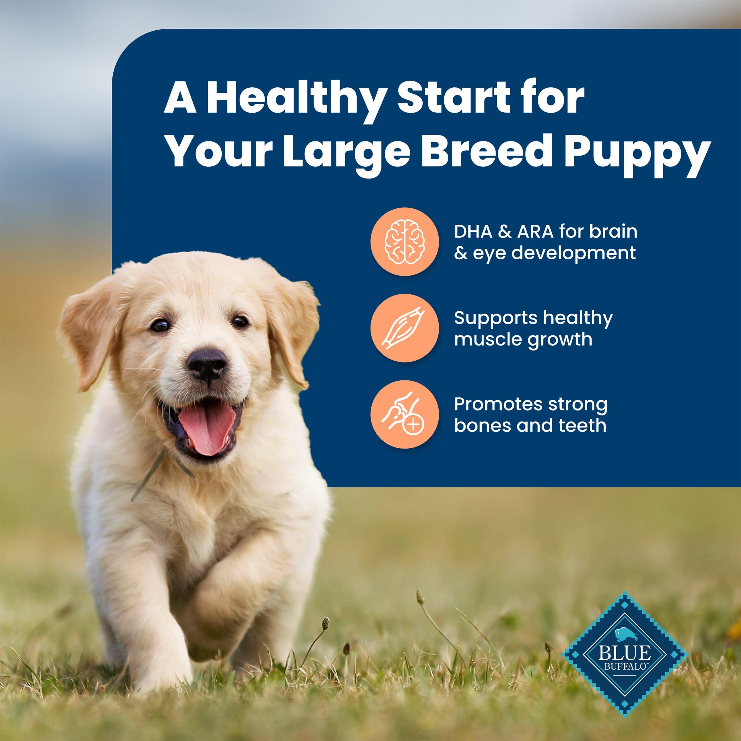 Blue Buffalo Life Protection Formula Large Breed Dry Puppy Food - Chicken & Rice, 34 lbs.